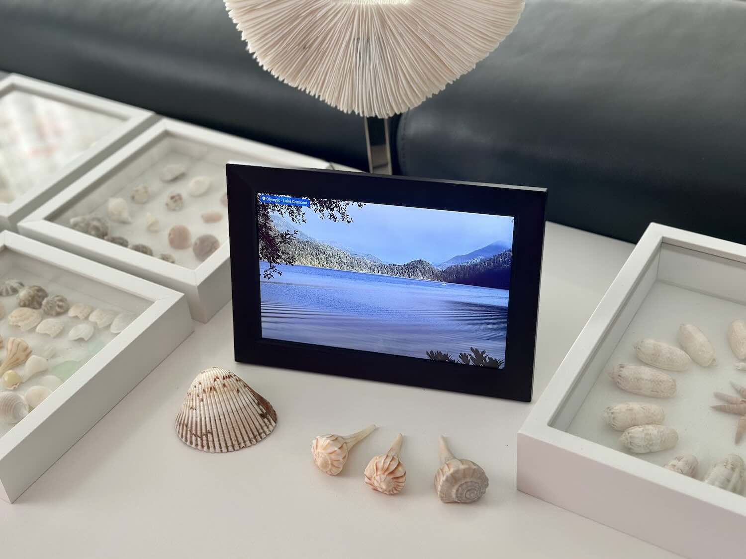 Back view of LiveFrame showing wooden finish.